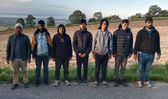 Edirne'de 19 kaçak göçmen yakalandı