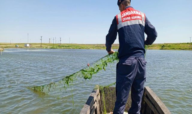 Edirne'de jandarma gölete atılan kaçak ağları topladı