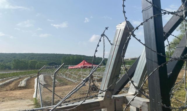 İzmit Belediyesi'nin hasadını yapıp, gelirini kız öğrencilere bağışlayacağı çilekler çalındı