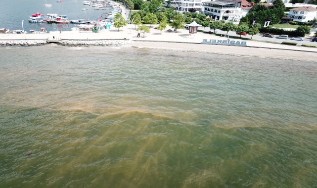 İzmit Körfezi'ndeki renk değişiminin sebebi, 'fitoplankton' çıktı