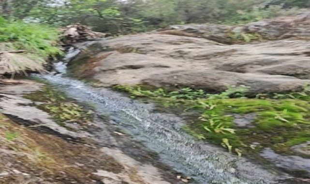 Korhan Berzeg'in kemikleri, toprağa verilmek üzere Gönen'e getirildi