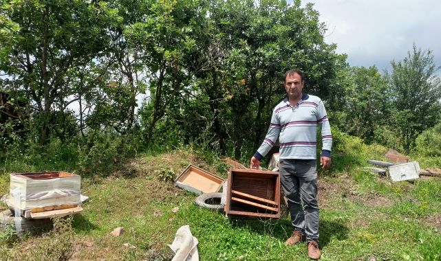 Kovanlarının parçalanıp, 4 bin arıya zarar verildiği iddiasıyla şikayetçi oldu