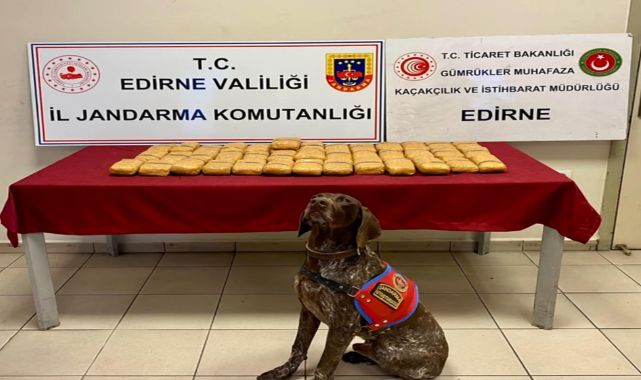 TIR'daki 18 kilo 480 gram eroini 'Ayaz' buldu