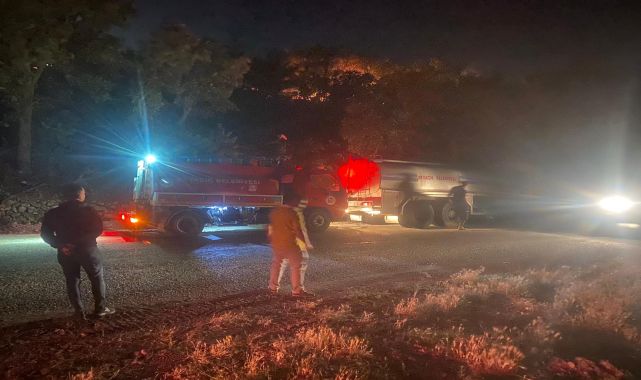 Ayvacık&#039;ta orman yangını