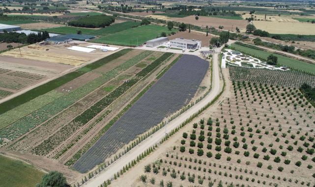 Balıkesir, Aromaterapi Festivali’ne ev sahipliği yapacak