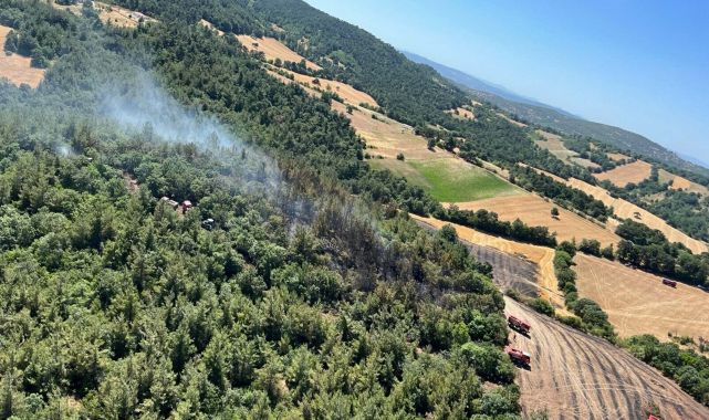 Balıkesir'de arazide çıkan yangın ormana sıçradı