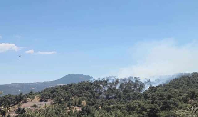 Balıkesir'de orman yangını