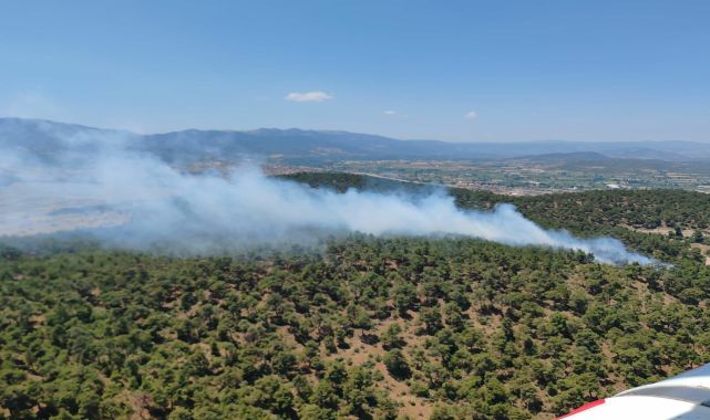 Balıkesir'de orman yangını