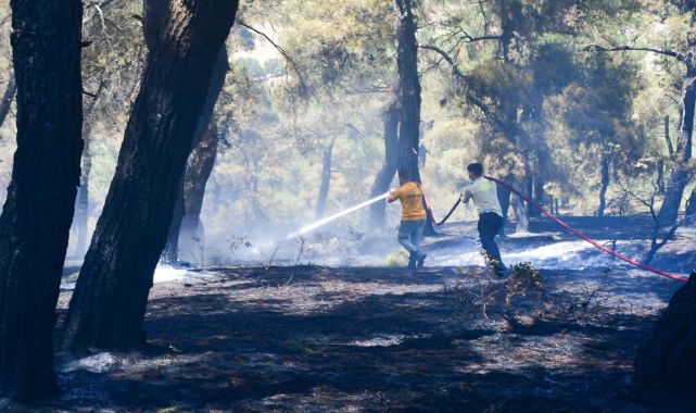 Balıkesir'deki orman yangını, 13 saatte kontrol altına alındı