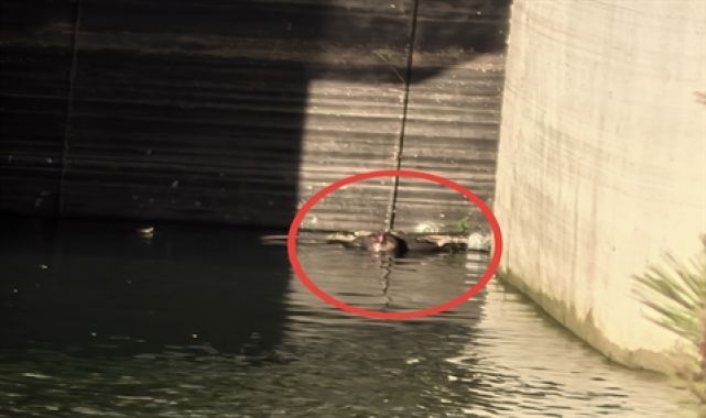 Barajda cansız bedeni bulunan 2 çocuk babası toprağa verildi