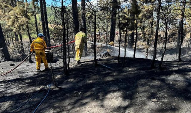 Bursa&#039;da çıkan orman yangını 1 saatte söndürüldü