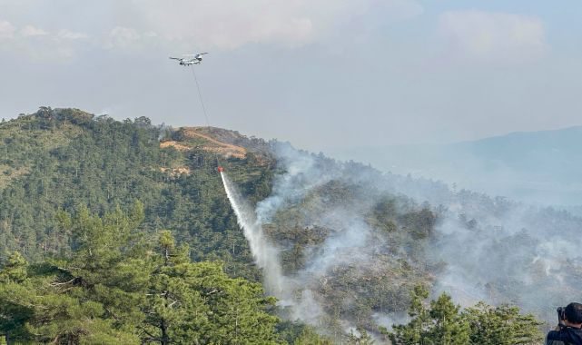Bursa'da orman yangını; karadan ve havadan müdahale ediliyor