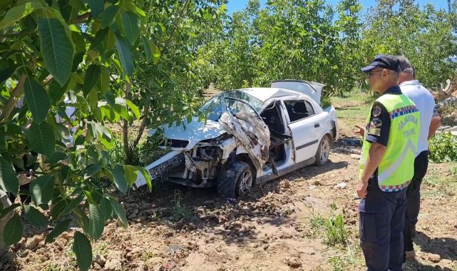 Bursa'da su kanalına çarpan otomobil sürücüsü yaralandı, kurbanlık etler tarlaya saçıldı