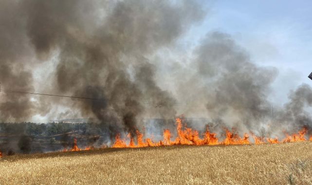 Çanakkale'de anız yangını, tarım arazisi ve ormana sıçradı