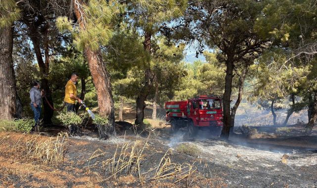 Çanakkale&#039;de ikinci anız yangını; ormana sıçradı