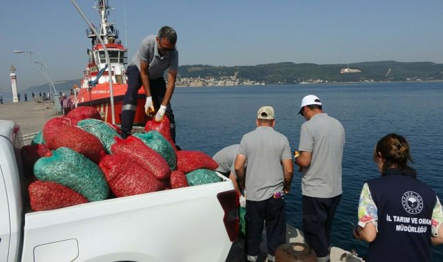 Çanakkale&#039;de kaçak yolla avlanan 3 ton kum şırlanı ele geçirildi