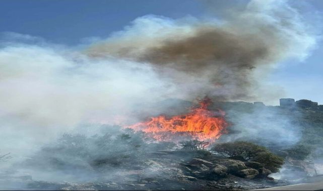 Çanakkale'de makilikte çıkan yangın, antik kente sıçradı