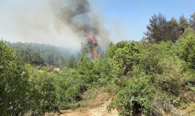 Çanakkale'de orman yangını