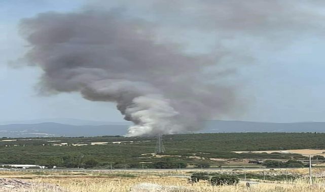 Çanakkale'de orman yangını; bu kez de Ezine'de çıktı