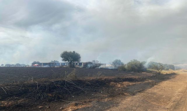 Çanakkale'de orman yangını; bu kez de Ezine'de çıktı/Ek fotoğraflar