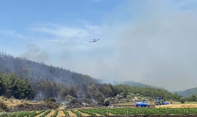 Çanakkale'de orman yangını/Ek Fotoğraflar