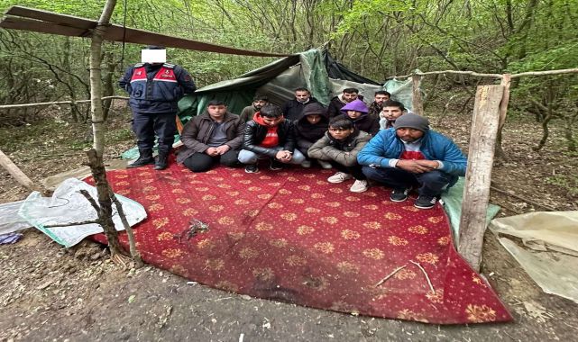 Edirne’de 11 kaçak göçmen yakalandı