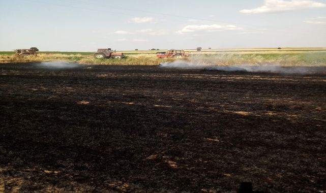Edirne'de aynı köyde 1 gün arayla çıkan 2 tarla yangınında 110 dönüm ekili buğday zarar gördü