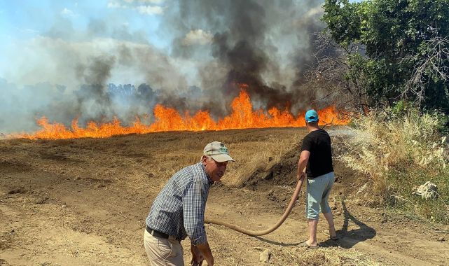 Edirne&#039;de buğday tarlasında çıkan yangın, ağaçlara sıçradı
