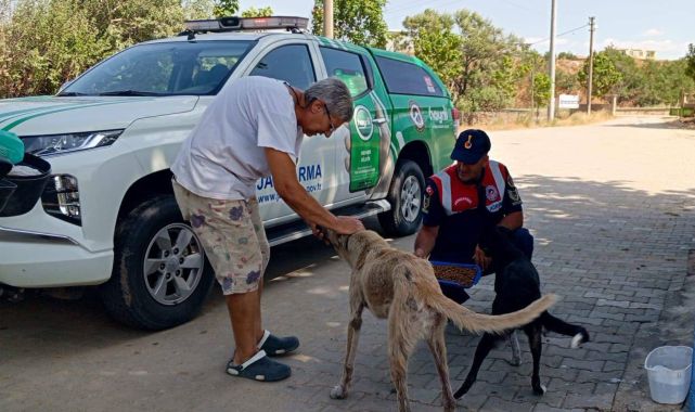 Edirne&#039;de jandarma sokak hayvanlarını besledi