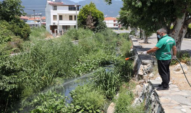 Edremit'te sinek ve haşereyle mücadele