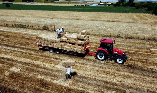 Hasadın tamamlandığı tarlalarda, kavurucu sıcakta 'balya' mesaisi