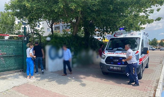 Kapının Üzerinden Geçmek İsterken Demir Parmaklık Koluna Saplandı