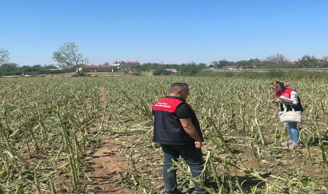 Kırklareli'de dolunun zarar verdiği tarlalarda hasar tespit çalışması başlatıldı
