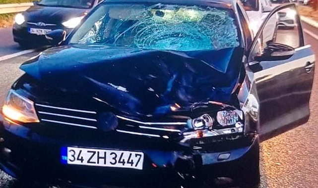 Otomobilin Çarptığı Suriye Uyruklu 2 Çocuk Öldü