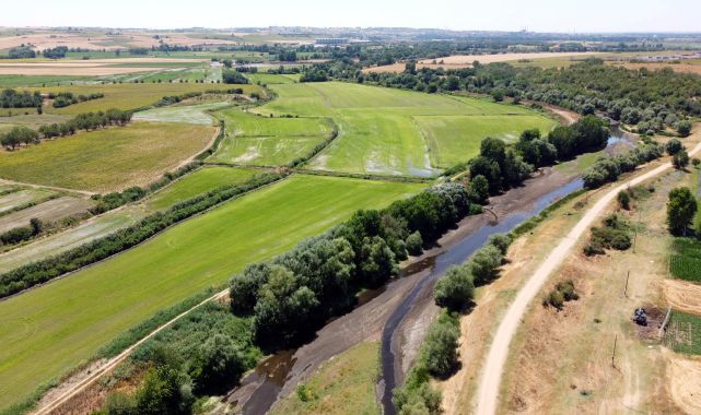 Tunca Nehri kuruma noktasına geldi, çeltik sulaması durdu!