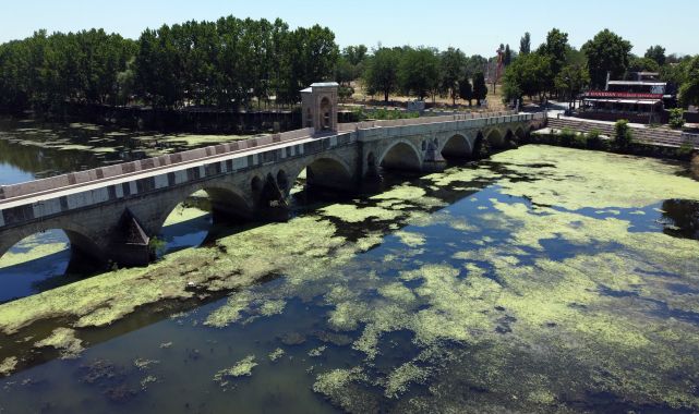 Tunca Nehri'nde debi bir ayda yarı yarıya düştü, yüzeyi yosunla kaplandı