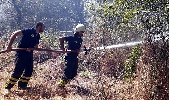 Anız Yangını Ormana Ulaşmadan Söndürüldü