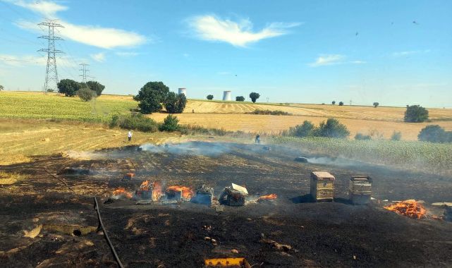 Anız yangını arı kovanlarına sıçradı! 200 kovan yandı