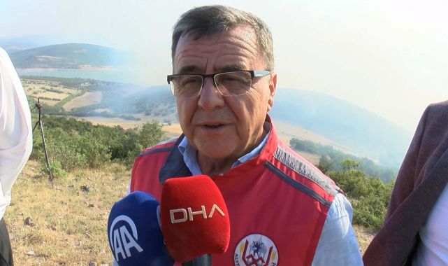 Balıkesir'de orman yangını