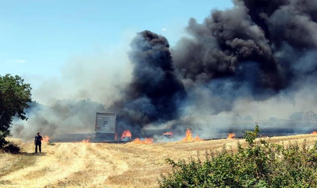Buğday yüklü TIR alev aldı; 10 dekar tarım alanı zarar gördü