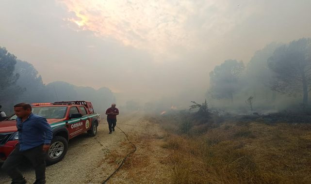 Çanakkale’de çıkan orman yangını kontrol altına alındı