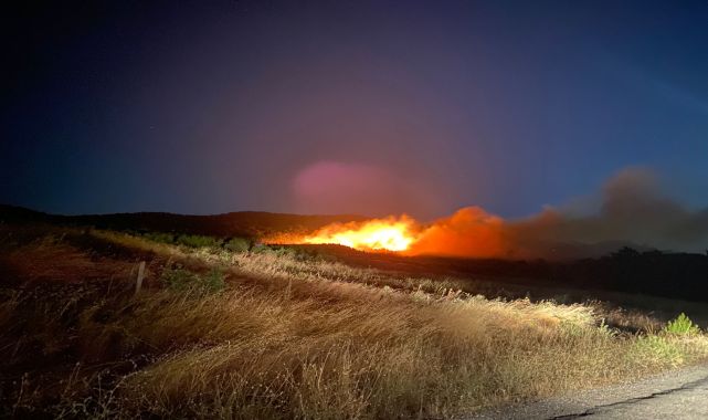 Çanakkale'de orman yangını