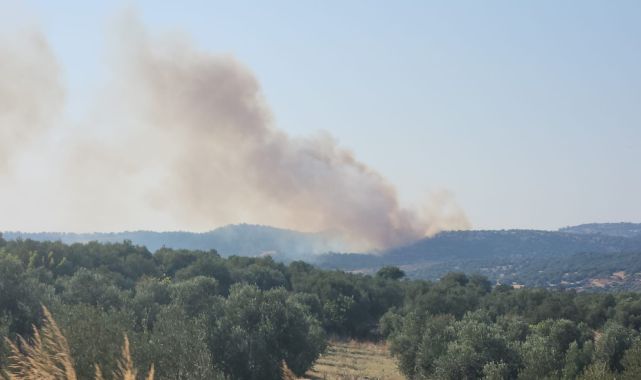 Çanakkale'de orman yangını