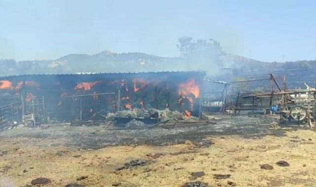 Çanakkale'de tarım arazisinde yangın