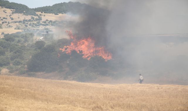 Edirne'de yerleşim yerlerine yakın tarlada yangın; 50 dönüm alan zarar gördü