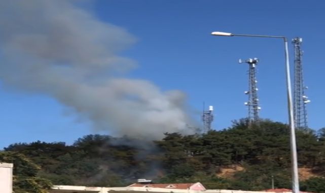 Edirne’nin İpsala ilçesinde çıkan orman yangını söndürüldü