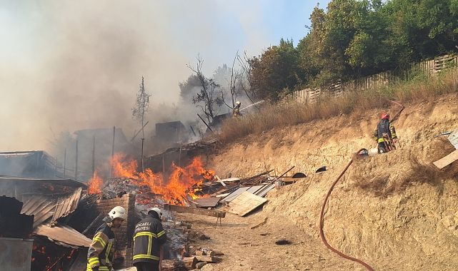 İzmit'te ahır yangını; 13 hayvan öldü