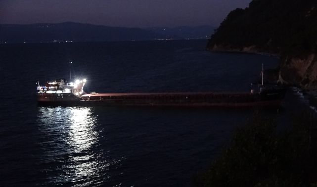 Kaptan uyudu, gemi karaya oturdu