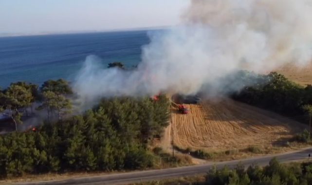Keşan'da orman yangını