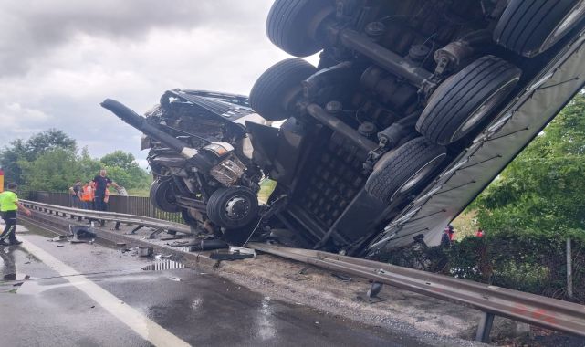 Köprüde asılı kalan TIR&#039;ın şoförü yaralandı, 6 büyükbaş öldü